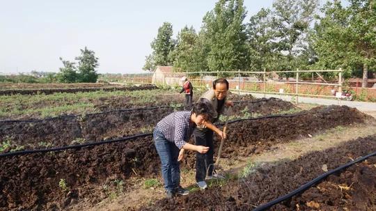 即日起，临淄区第二批巾帼居家创业就业示范基地申报工作开始啦！