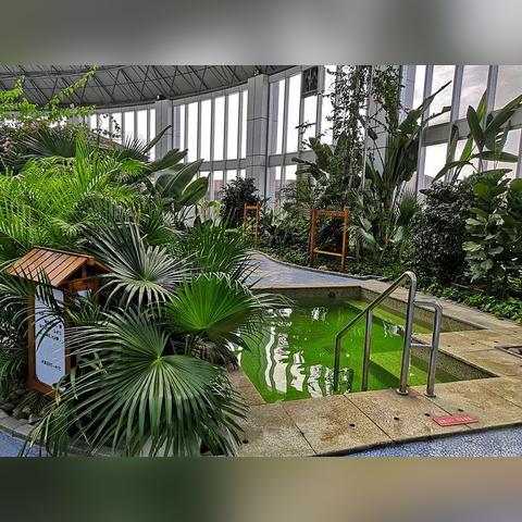 济南市温泉泳池在哪里啊