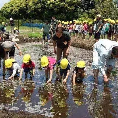 美的海外电商实习 相关的长尾关键词有什么