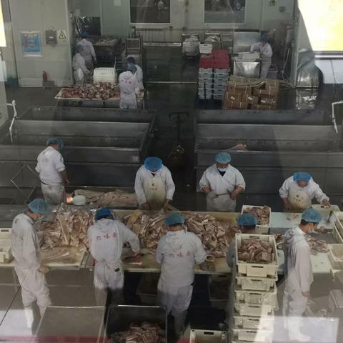 保定市肉联厂搬迁的长尾关键词有哪些