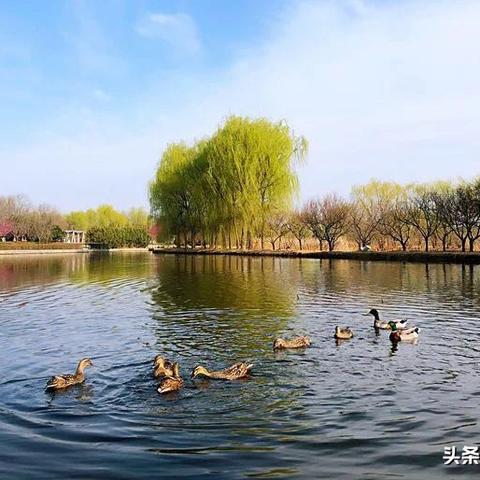 西安古城墙门票从哪个门上去都行吗？