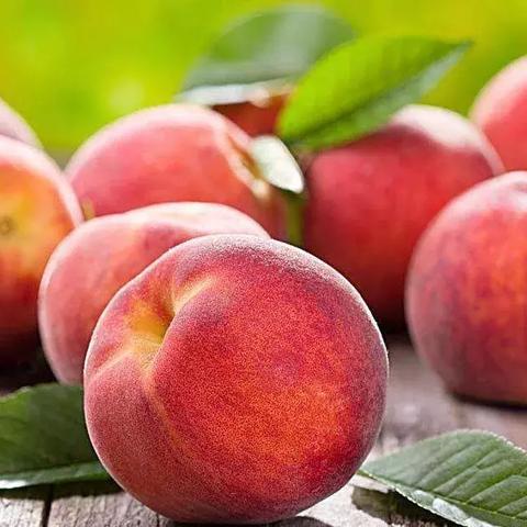 赣南脐橙货源怎么找的长尾关键词有哪些