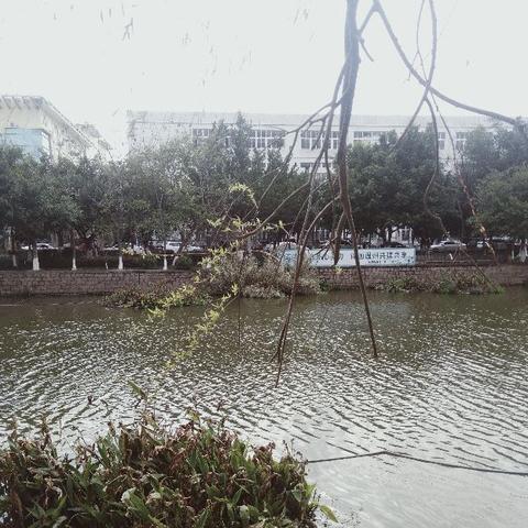 温州市滨海吃饭推荐的长尾关键词有什么