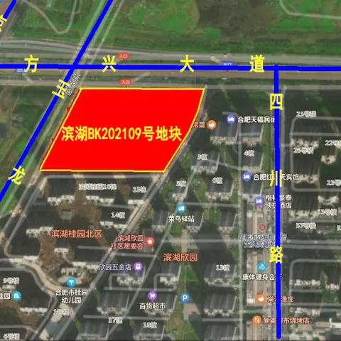 合肥市哪个饭店拍卖