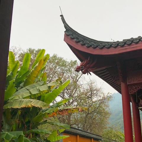 杭州法喜寺在哪？怎么去啊？