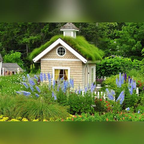 花园小屋电影免费观看的长尾关键词有什么