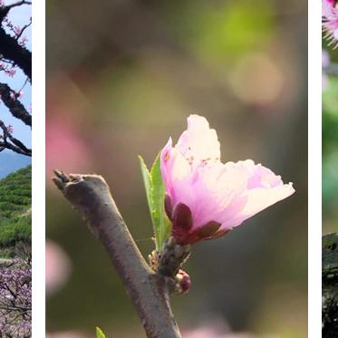 宁波奉化溪口附近住宿的相关长尾关键词有哪些