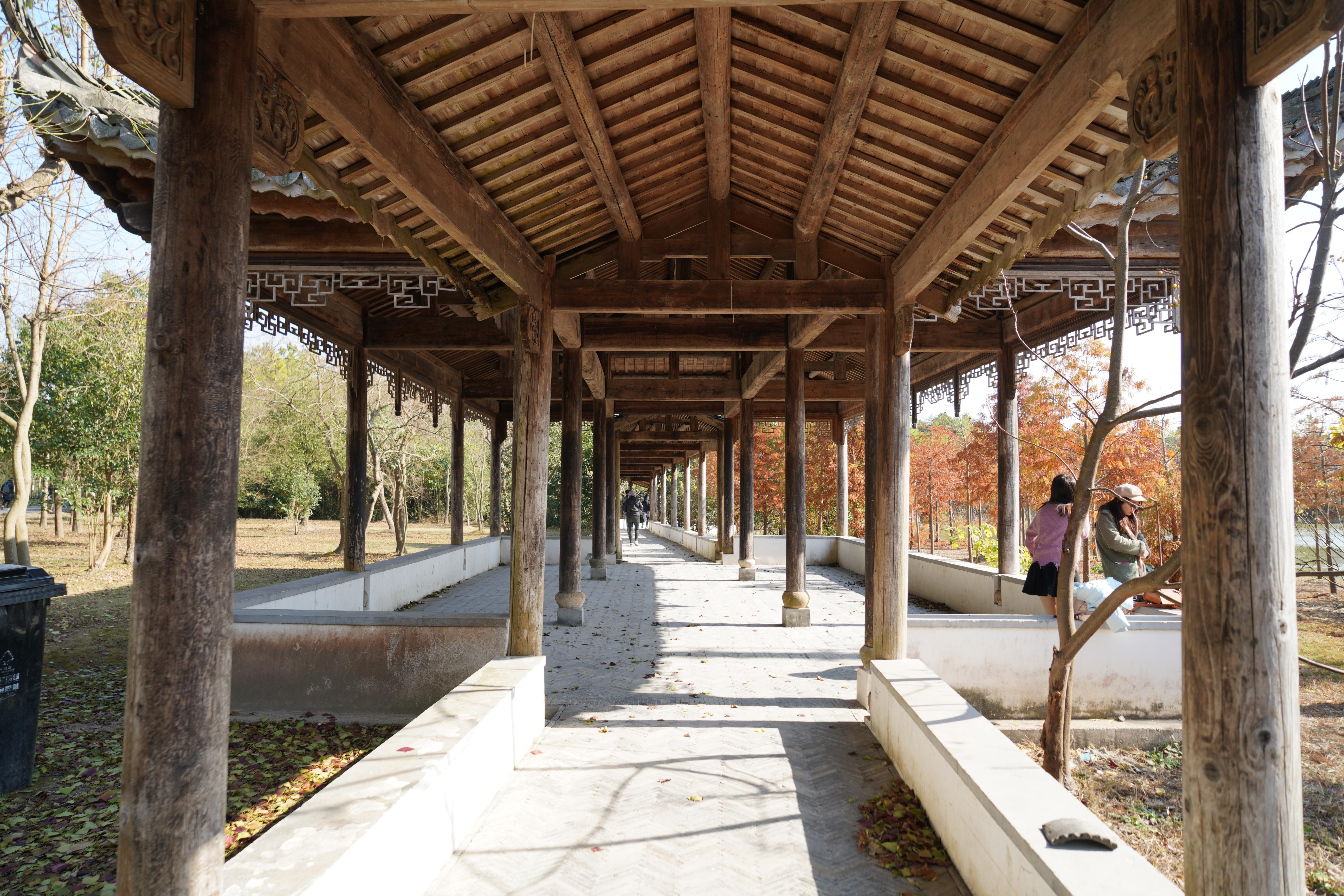 【上海海湾国家森林公园攻略,上海海湾国家森林公园好玩吗?】 【上海海湾国家森林公园攻略,上海海湾国家森林公园好玩吗?】