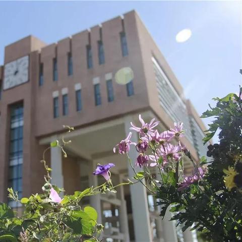 天津苹果8怎么样