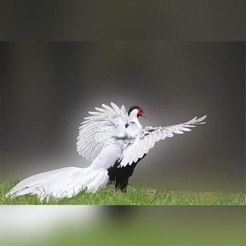 济南南方人相关长尾关键词有哪些