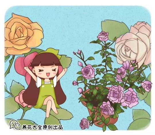 植物中也有双胞胎，教你两招辨认，免得被老板坑！