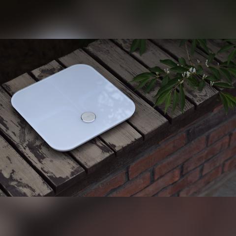 东莞市体脂秤怎么看数字