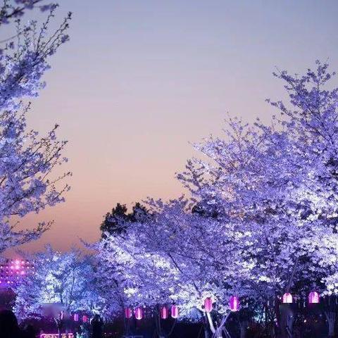 宁波市哪个山看夜景好玩