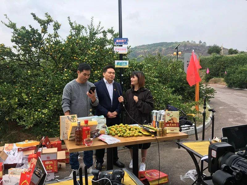 【ks作品赞自助下单网站
 ,ks作品点赞】