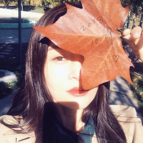 叶子遮脸的图片大全的长尾关键词是什么