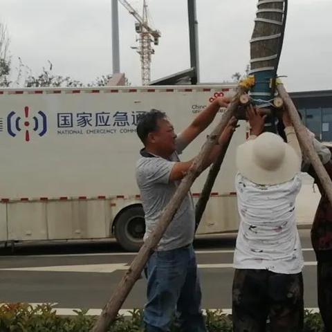 临沂市城投怎么样