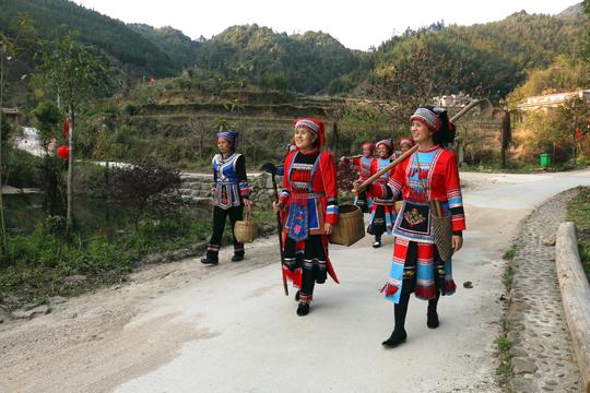 大瑶山乡逐梦人——钟山县大坪瑶寨发展生态乡村旅游产业纪实