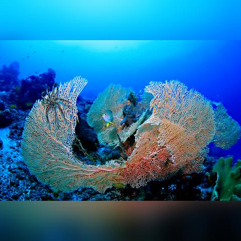 无锡市哪里有卖沙滩鞋的