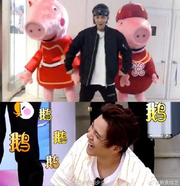 罗志祥鹅笑表情包