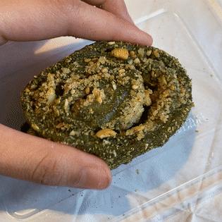 沈阳买糕点相关长尾关键词有哪些