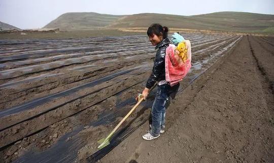 田不种，车摆设，房空着，农民怎么了？这才是农村的现状，太真实
