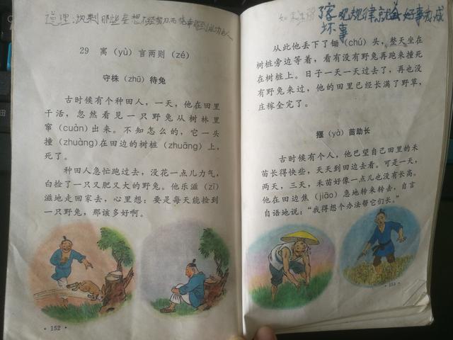 小学三年级怎么提升语文成绩
