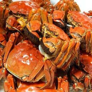 苏州市常熟市长河闸在哪里的长尾关键词有哪些