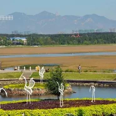 保定市鸽子烧烤店电话多少