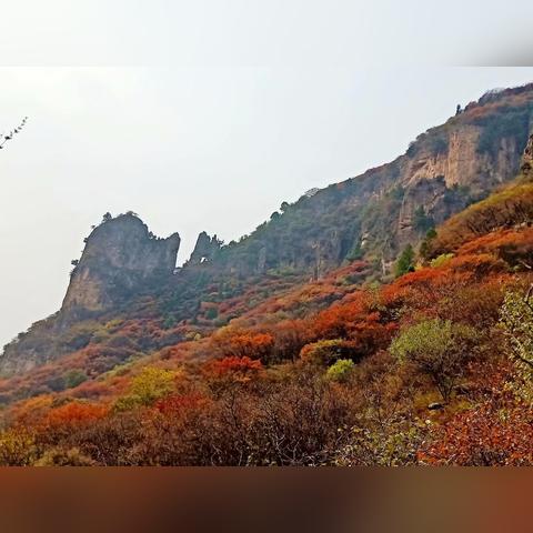 保定市瑜伽舞蹈的长尾关键词有什么