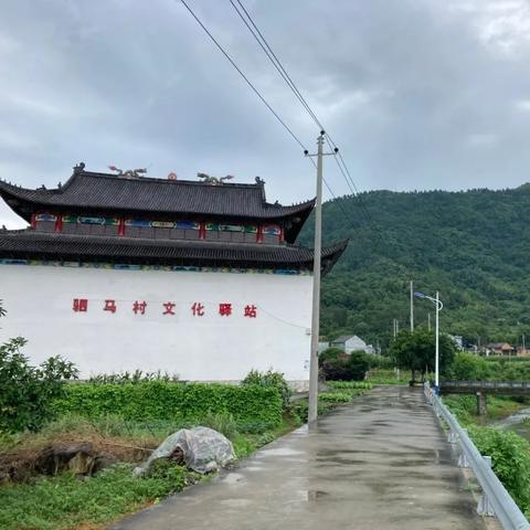 2025.12.20温州今天空气质量指数怎么样