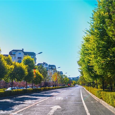 吉林的天气怎么样