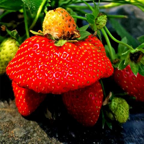 桂林市开钓鱼塘怎么样啊