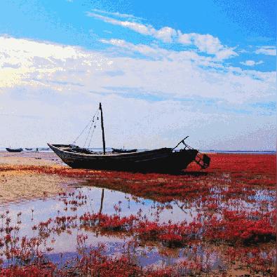 盘锦红海滩门票/盘锦红海滩门票需要预约吗