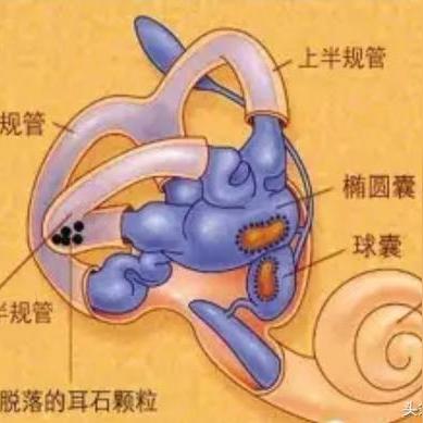 沈阳市九院耳鼻喉怎么样