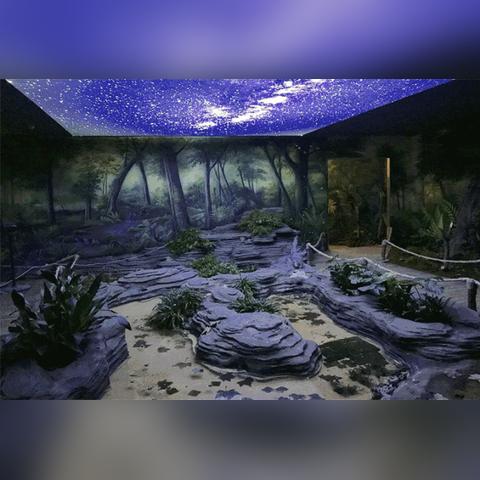 长沙动物保护协会相关长尾关键词有哪些