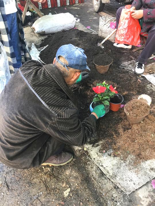 鹤岗有个下午1点才收摊的“早市”，围观百年煤城的热闹端午