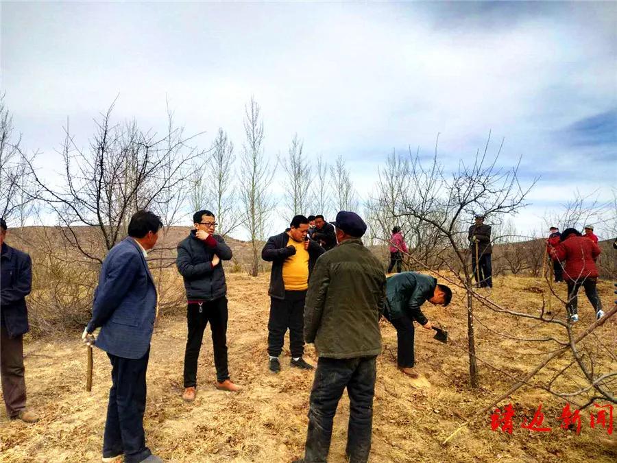 新十条防疫政策
 /新十条防疫政策解读