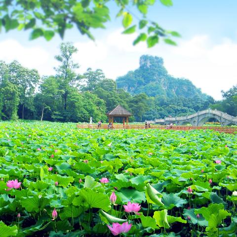 2019环广西桂林回顾相关长尾关键词有哪些