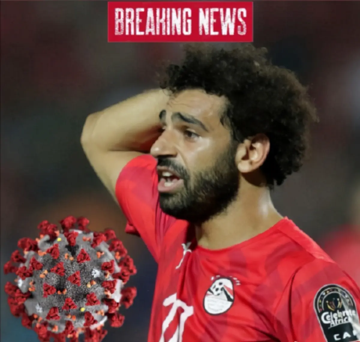 虎扑伙伴店铺是真的吗 虎扑推荐店铺是正品吗