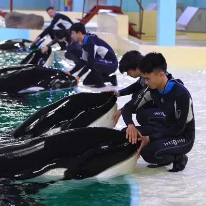 无锡市生态水族馆怎么样
