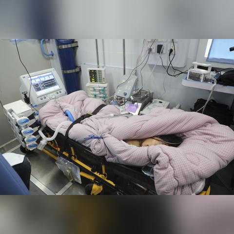 河南11月能种什么菜种