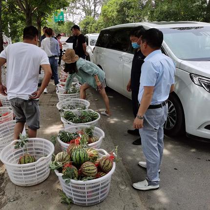 河南省最大西瓜产地？