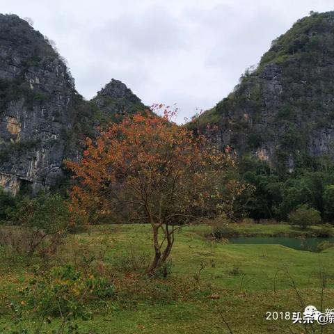 桂林乌桕滩怎么去相关长尾关键词有哪些