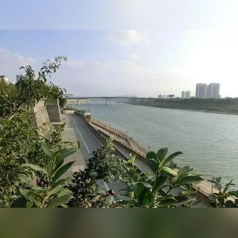 南宁联合国人居奖的相关长尾关键词有哪些