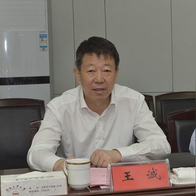 合肥市市政府网站怎么样