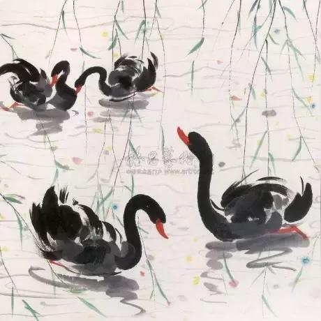 重庆大学帅气助教视频的长尾关键词有什么