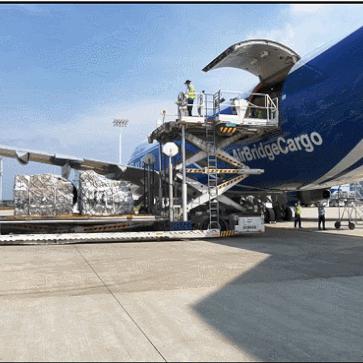 海外电商哪家好一点的 相关的长尾关键词有什么