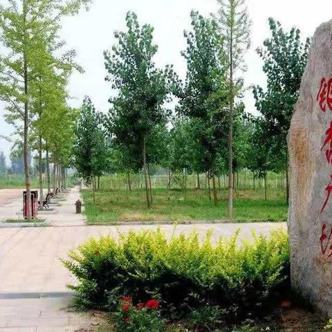 河南应用怎么样