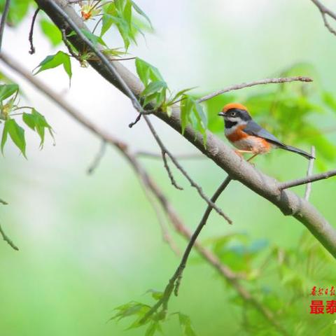 拾月造型石家庄市的长尾关键词有哪些