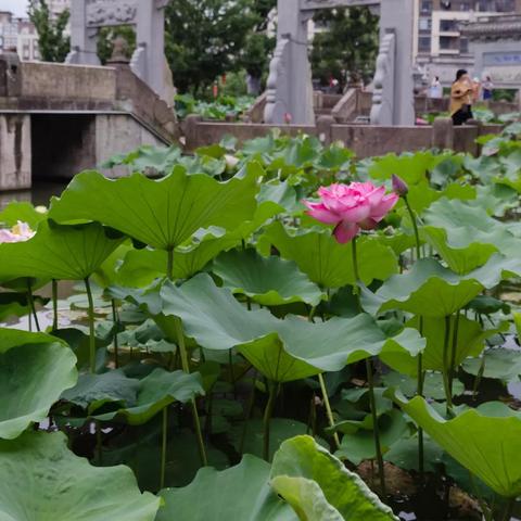 宁波市在哪个城市